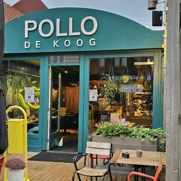 Pollo De Koog Texel